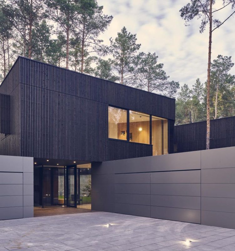 A modern minimalist looking luxurious home with concrete driveway, surrounded by tall trees.